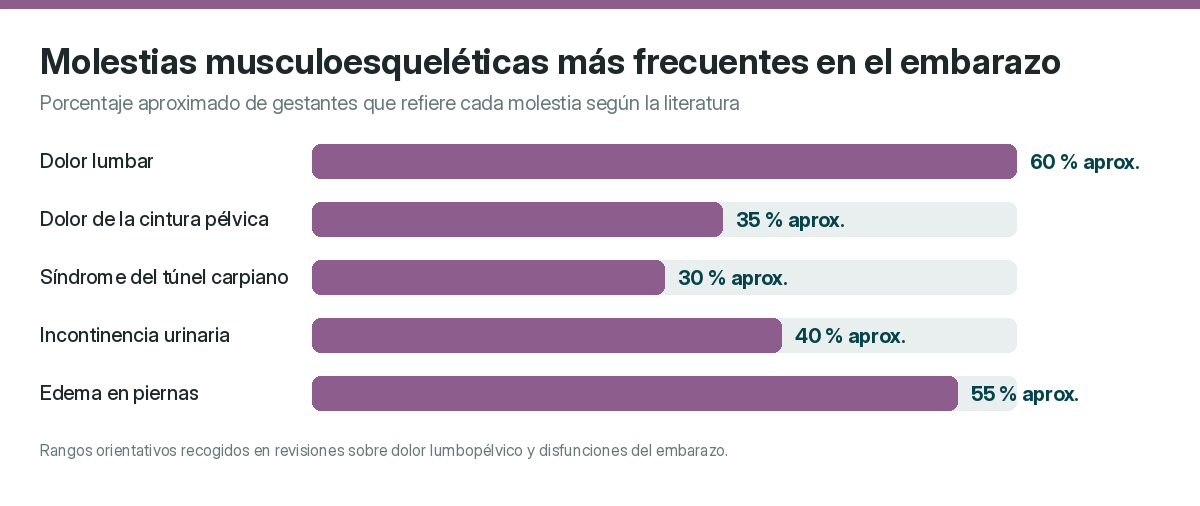 Fisioterapia para embarazadas en Málaga: qué necesita tu cuerpo en cada trimestre 1 2026 Las molestias más frecuentes durante la gestación, y todas ellas abordables desde la fisioterapia.