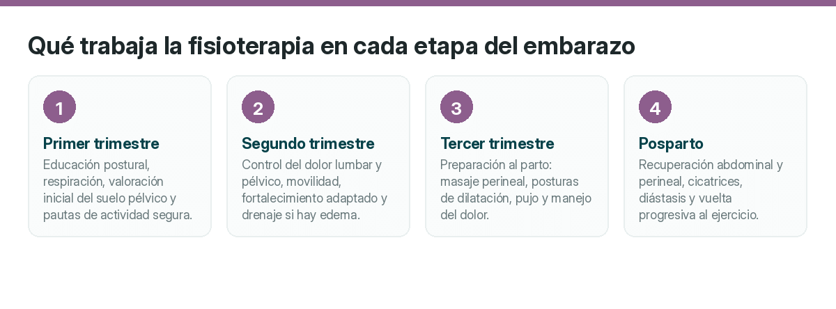 Fisioterapia para embarazadas en Málaga: qué necesita tu cuerpo en cada trimestre 2 2026 El acompañamiento cambia según el momento de la gestación.