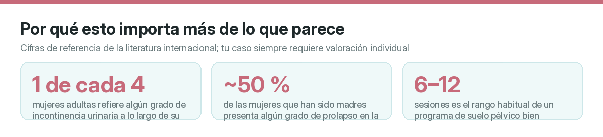 Cifras de referencia para poner expectativas realistas.