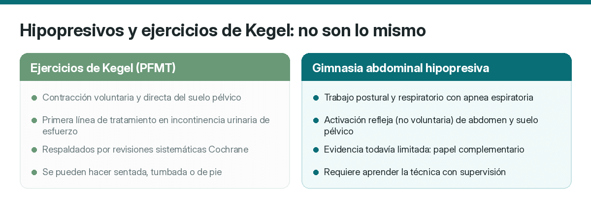 Hipopresivos en Málaga y Fuengirola: qué son, para qué sirven y quién debería hacerlos 1 2026 Hipopresivos y ejercicios de Kegel trabajan de forma distinta y no son intercambiables.